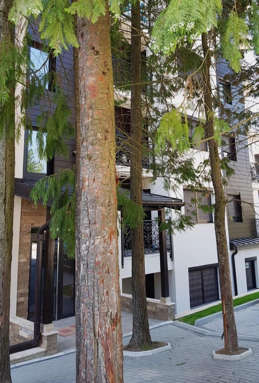 Apartman 11 Breza Zlatibor Exterior foto